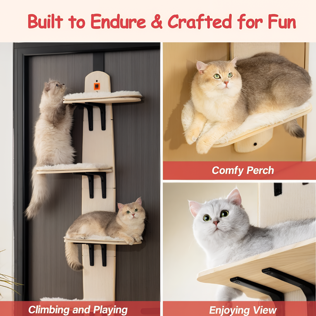 DYNIQ PawClimb™